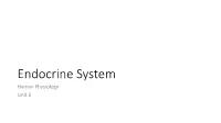Endocrine System WS19