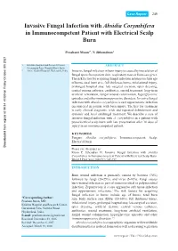 Invasive Fungal Infection with Absidia Corymbifera in Immunocompetent Patient with Electrical Scalp Burn