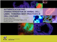 AUTHENTICATION and CHARACTERIZATION of ANIMAL CELL LINES: TOWARDS BEST PRACTICES in CELL CULTURE Yvonne A