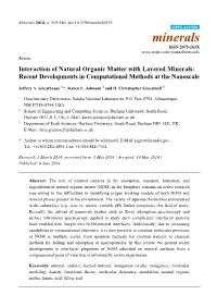 Interaction of Natural Organic Matter with Layered Minerals: Recent Developments in Computational Methods at the Nanoscale
