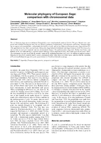 Molecular Phylogeny of European Saga: Comparison with Chromosomal Data