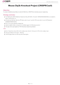 Mouse Dip2b Knockout Project (CRISPR/Cas9)