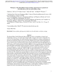 Phylogeny of the Damselfishes (Pomacentridae) and Patterns of Asymmetrical Diversification in Body Size and Feeding Ecology