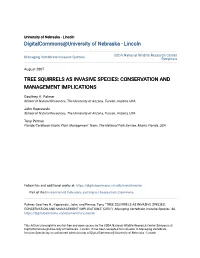 Tree Squirrels As Invasive Species: Conservation and Management Implications