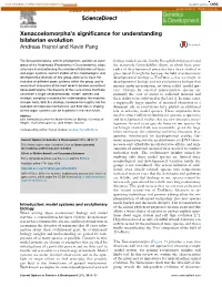 Xenacoelomorpha's Significance for Understanding Bilaterian