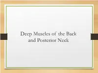 Chapter 7 Body Systems
