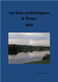 The Birds of Whitlingham & Thorpe 2020