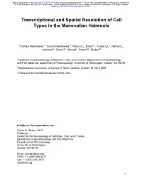 Transcriptional and Spatial Resolution of Cell Types in the Mammalian Habenula