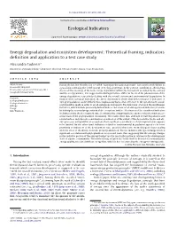 Energy Degradation and Ecosystem Development: Theoretical Framing, Indicators
