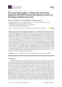 Greatwall-Endosulfine: a Molecular Switch That Regulates PP2A/B55