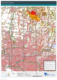 Tree Hazard Mapping