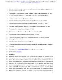 Functional Interactomes of the Ebola Virus Polymerase Identified by Proximity Proteomics 2 in the Context of Viral Replication