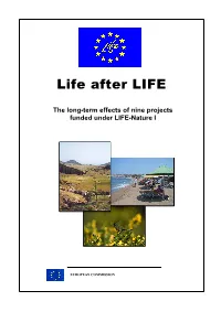 Life After LIFE