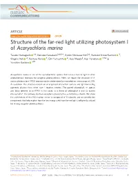 Structure of the Far-Red Light Utilizing Photosystem I of Acaryochloris Marina