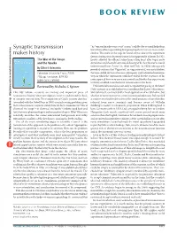 Synaptic Transmission Makes History