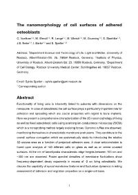 The Nanomorphology of Cell Surfaces of Adhered Osteoblasts