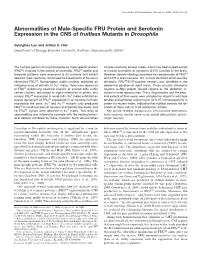 Abnormalities of Male-Specific FRU Protein and Serotonin Expression