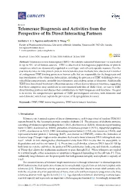 Telomerase Biogenesis and Activities from the Perspective of Its Direct Interacting Partners