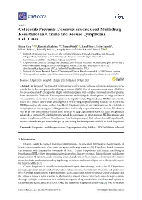Celecoxib Prevents Doxorubicin-Induced Multidrug Resistance in Canine and Mouse Lymphoma Cell Lines