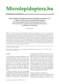 Microlepidoptera.Hu
