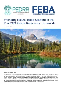 Promoting Nature-Based Solutions in the Post-2020 Global Biodiversity Framework