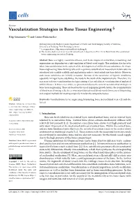 Vascularization Strategies in Bone Tissue Engineering §
