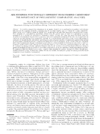 Are Pinnipeds Functionally Different from Fissiped Carnivores? the Importance of Phylogenetic Comparative Analyses