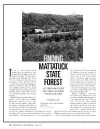 Finding Mattatuck State Forest