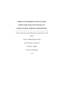 Impacts of Sedimentation on the Structure And