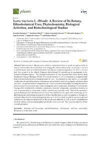 Isatis Tinctoria L. (Woad): a Review of Its Botany, Ethnobotanical Uses, Phytochemistry, Biological Activities, and Biotechnological Studies