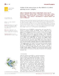 UHM-ULM Interactions in the RBM39-U2AF65 Splicing-Factor Complex