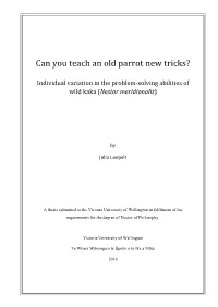 Can You Teach an Old Parrot New Tricks?