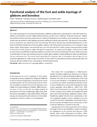 Functional Analysis of the Foot and Ankle Myology of Gibbons and Bonobos