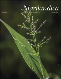 Spring 2020 Volume 11, Issue 1 a Publication of the Maryland Native
