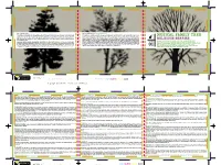 MUSICAL FAMILY TREE and Get It Set up As a Proper Database