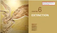 Extinction and Evolution PLATE 98 the Cataclysm Was As Sudden As It Was Devastating