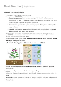 Plant Structure | Topic Notes