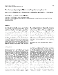 The Cleavage Stage Origin of Spemann's Organizer: Analysis Of