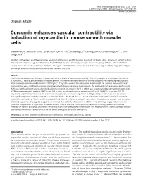 Curcumin Enhances Vascular Contractility Via Induction of Myocardin in Mouse Smooth Muscle Cells