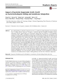 Impact of Bacterial Chaperonin Groel–Groes on Bacteriorhodopsin Folding and Membrane Integration