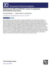 Multifactorial Erβ and NOTCH1 Control of Squamous Differentiation and Cancer