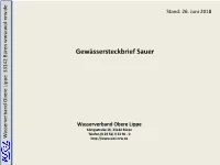 Steckbrief Sauer.Pdf