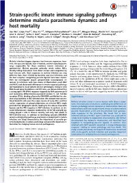 Strain-Specific Innate Immune Signaling Pathways Determine