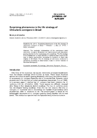 JOURNAL of JOURNAL of BOTANY Surprising Phenomena in the Life