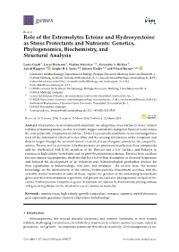 Role of the Extremolytes Ectoine and Hydroxyectoine As Stress Protectants and Nutrients: Genetics, Phylogenomics, Biochemistry, and Structural Analysis