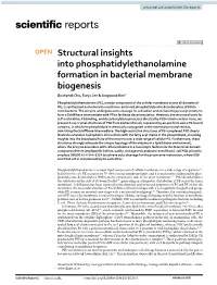Structural Insights Into Phosphatidylethanolamine Formation in Bacterial Membrane Biogenesis Gyuhyeok Cho, Eunju Lee & Jungwook Kim*