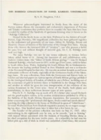 The Rubidge Collection of Fossil Karroo Vertebrates