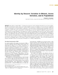 Variation in Meiosis, Across Genomes, and in Populations