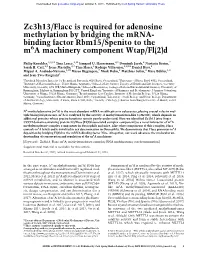 Zc3h13/Flacc Is Required for Adenosine Methylation by Bridging the Mrna- Binding Factor Rbm15/Spenito to the M6a Machinery Component Wtap/Fl(2)D