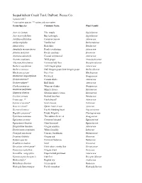 Sequalitchew Creek Trail Plant List